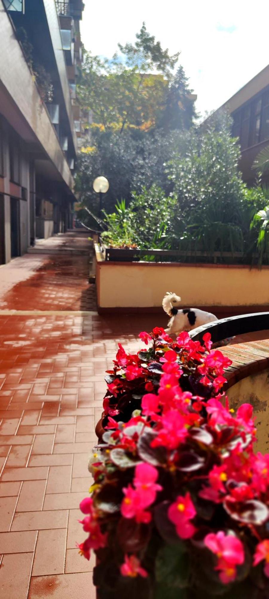Gemme Fiorentine Apartments In Front Of The Train Station 5 Minutes From The Centre Free Parking فلورنس المظهر الخارجي الصورة
